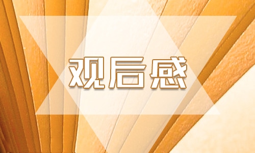 2023消防安全公开课观后感及启示10篇